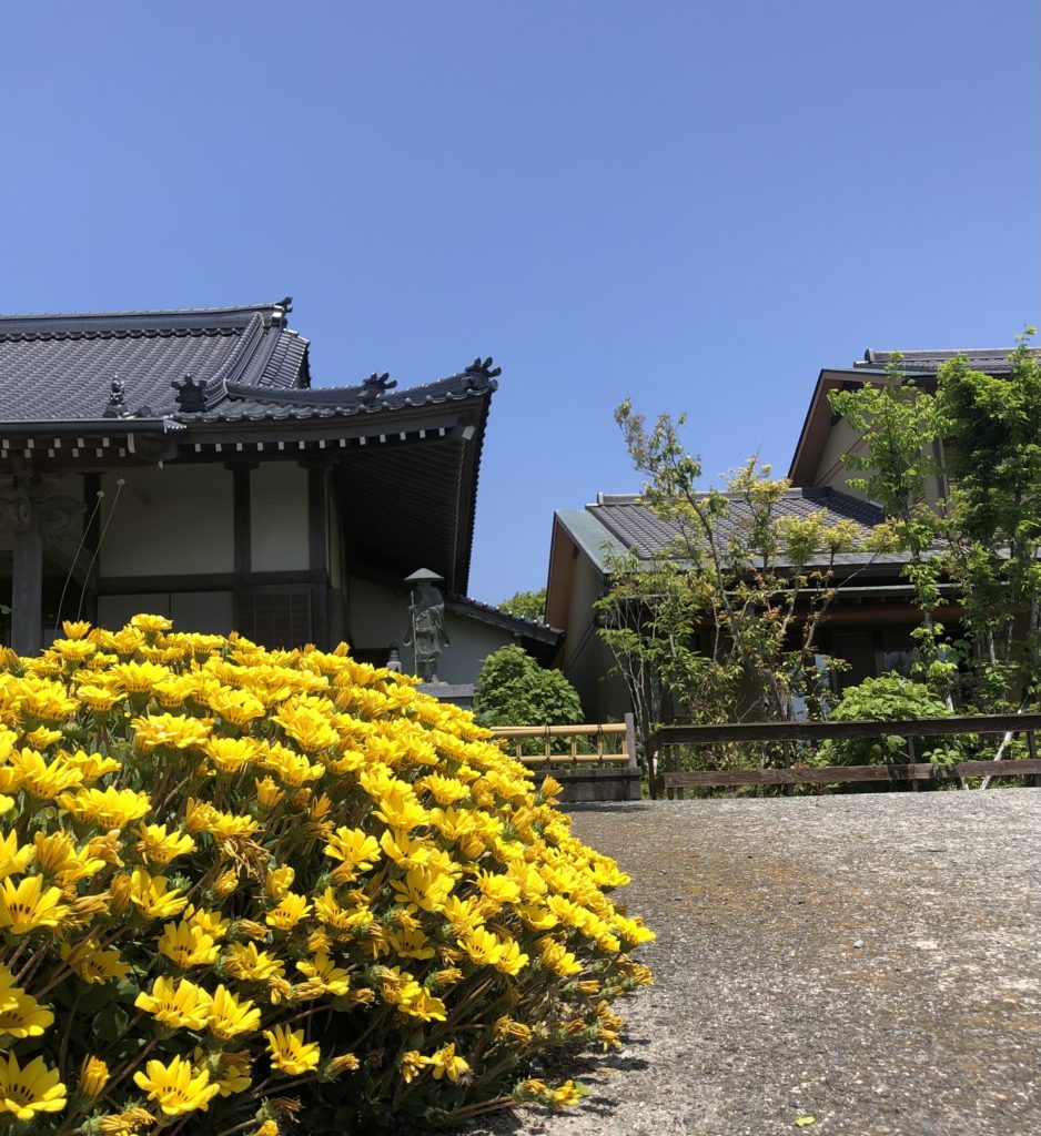 春空の陽射しが穏やかな１日🌼