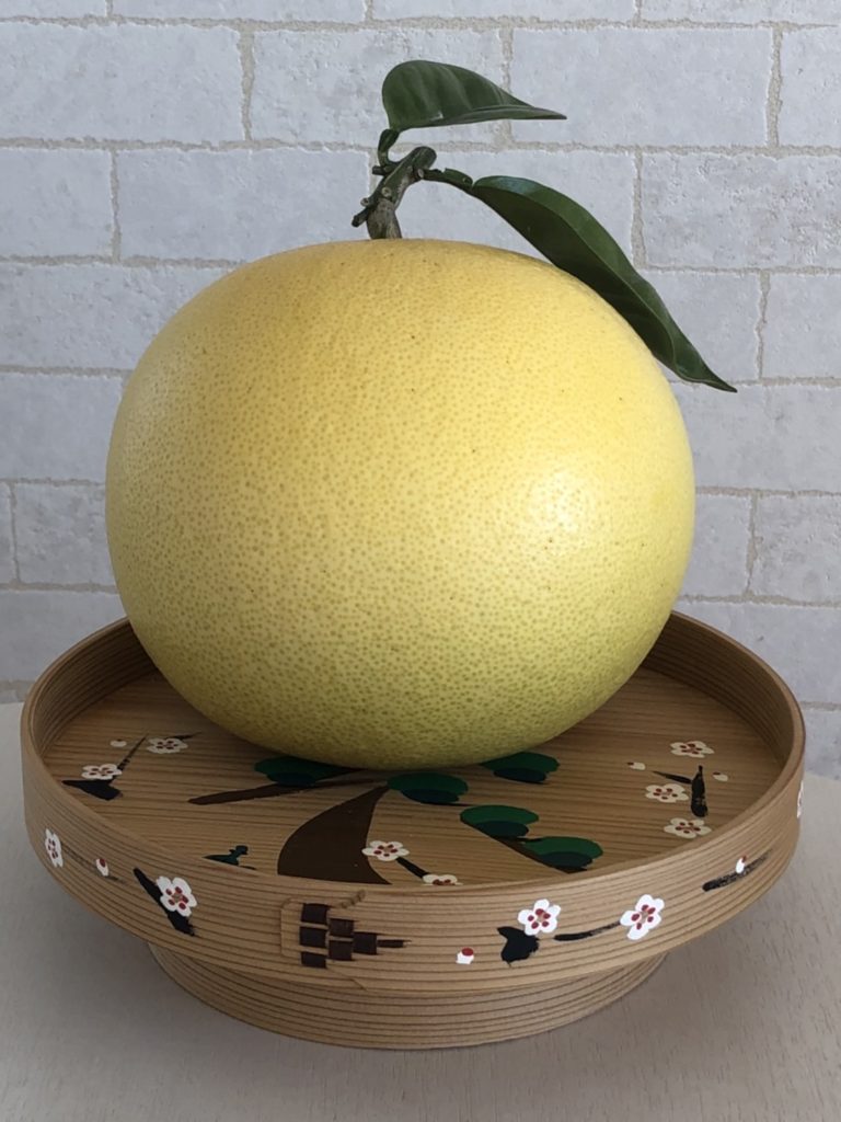 裏庭の“ざぼん“がいい感じに❗️